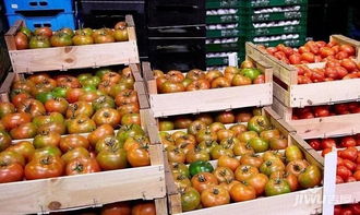 華南農產品交易中心 2019年下半年水果蔬菜行業四大趨勢與食用農產品零售新動向